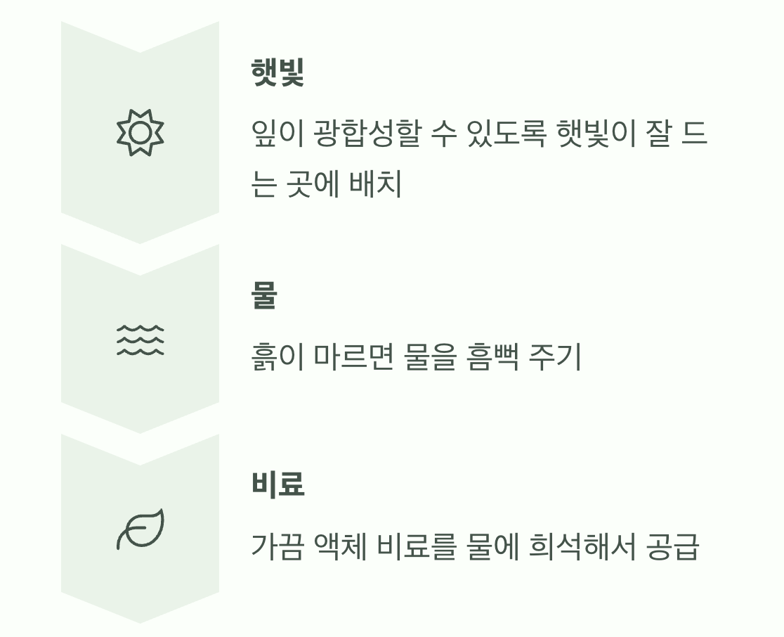 단점: 잎만 무성한 '양파'가 되는 시간