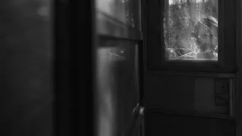 새어나오다 세어나오다 맞춤법 뜻 유래_19