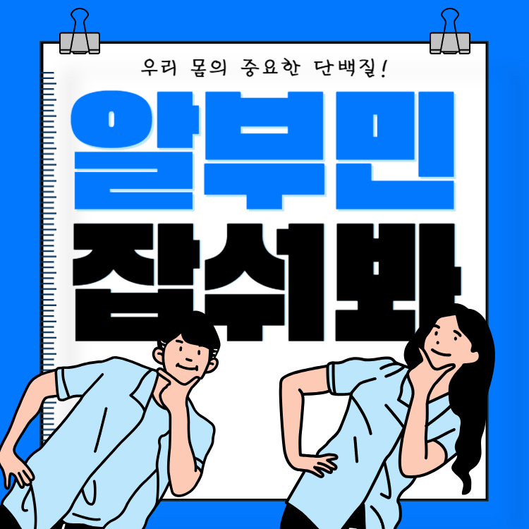 알부민의 효능 부작용