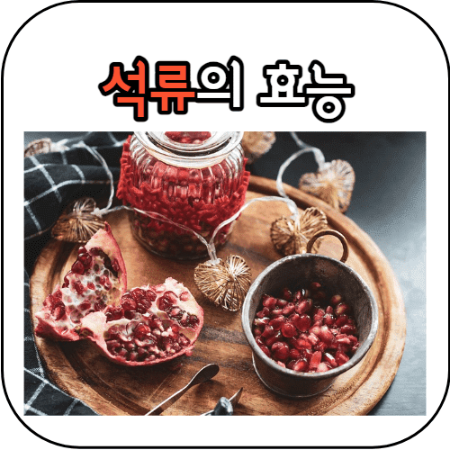 석류 썸네일