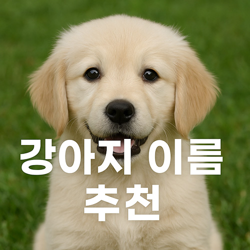 강아지-이름-추천-남자-강아지-이름-추천,-여자-강아지-이름-추천