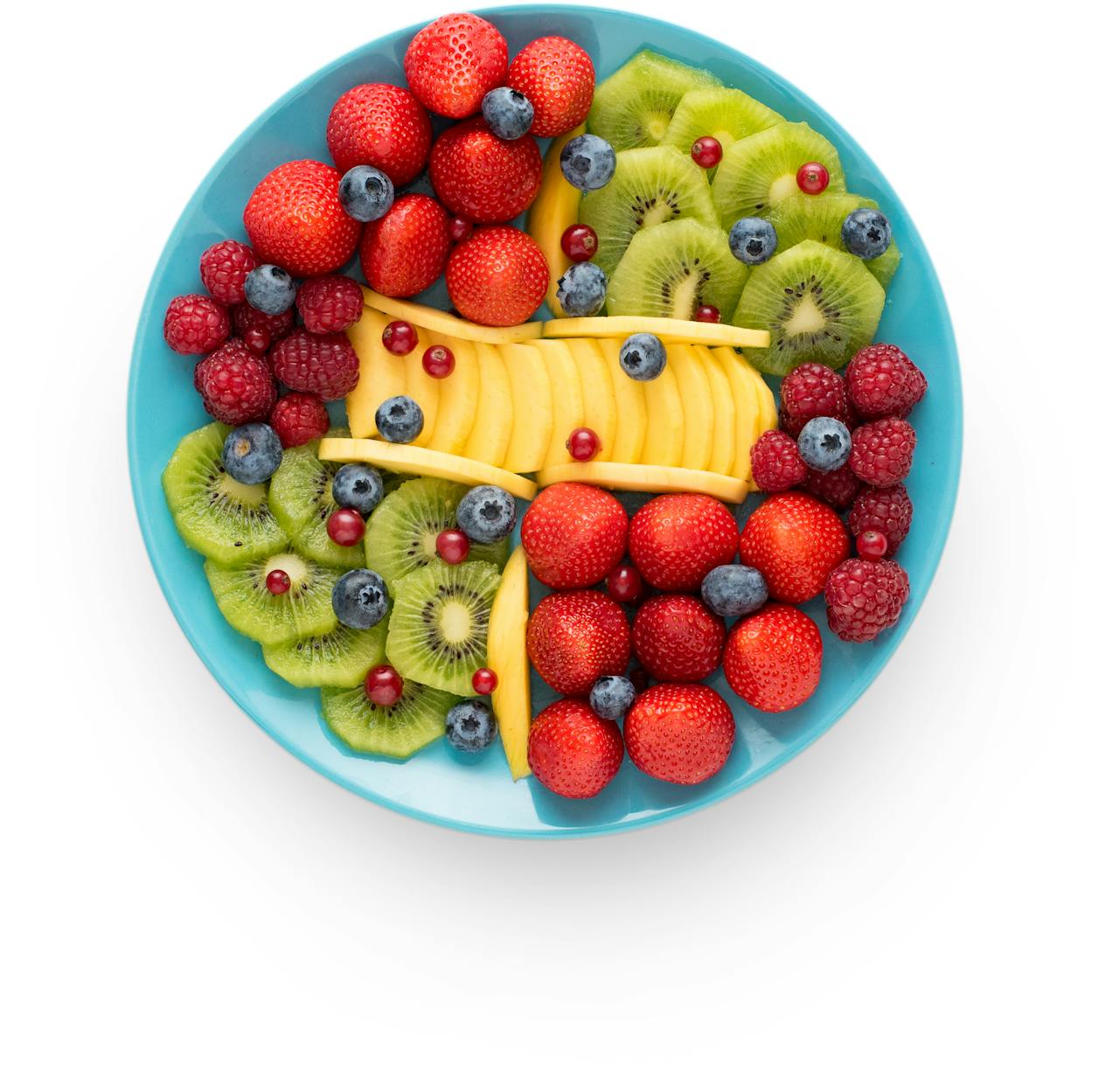  체형 관리&middot;다이어트&middot;식사 대용 