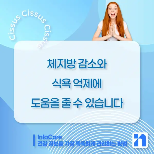 시서스 효능