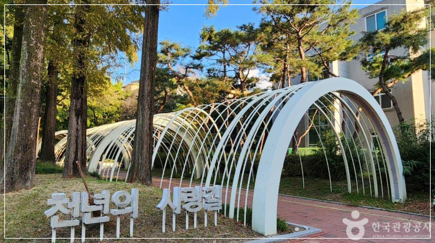 청주 가볼만한곳 베스트10 중앙공원