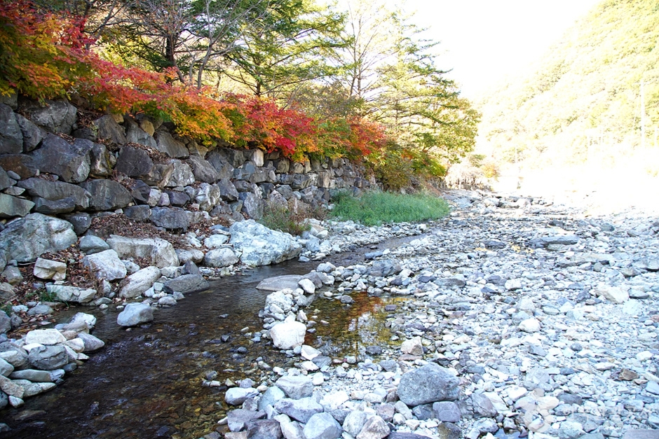 [강원도 여행지 추천] 철원 가볼만한 곳 베스트 10 담터계곡