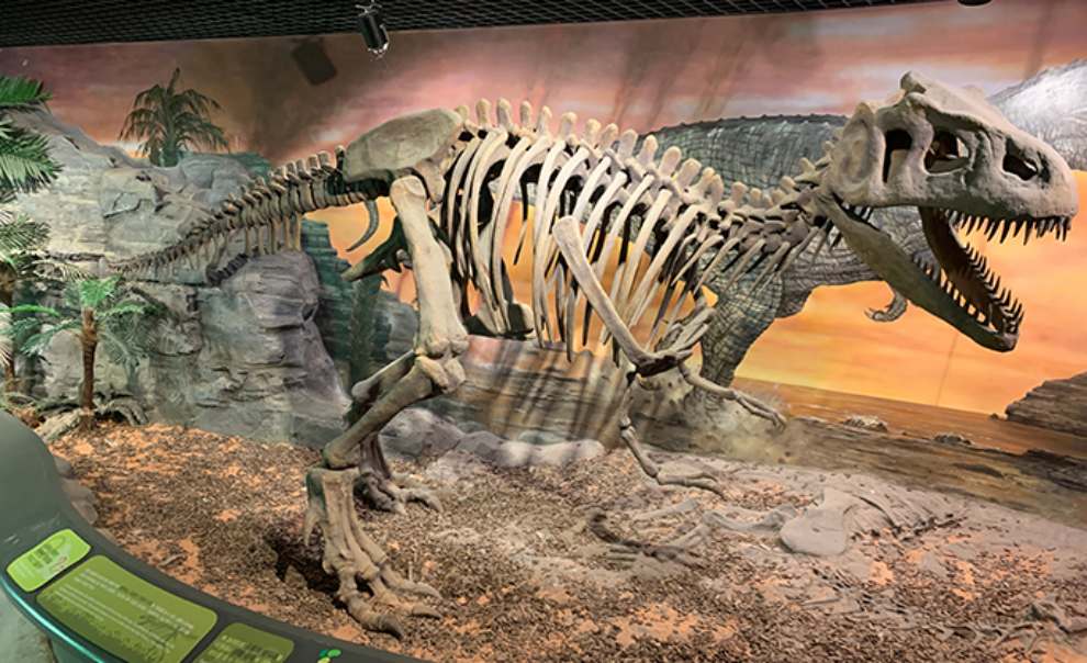 경남고성공룡세계엑스포 기본정보