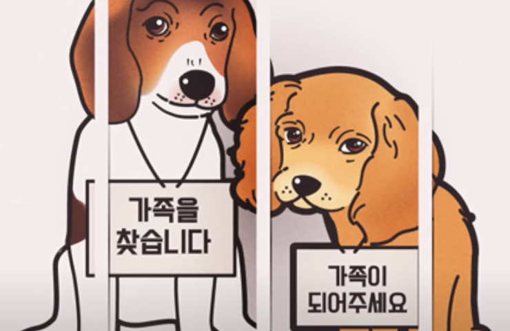 유기 동물 보호소