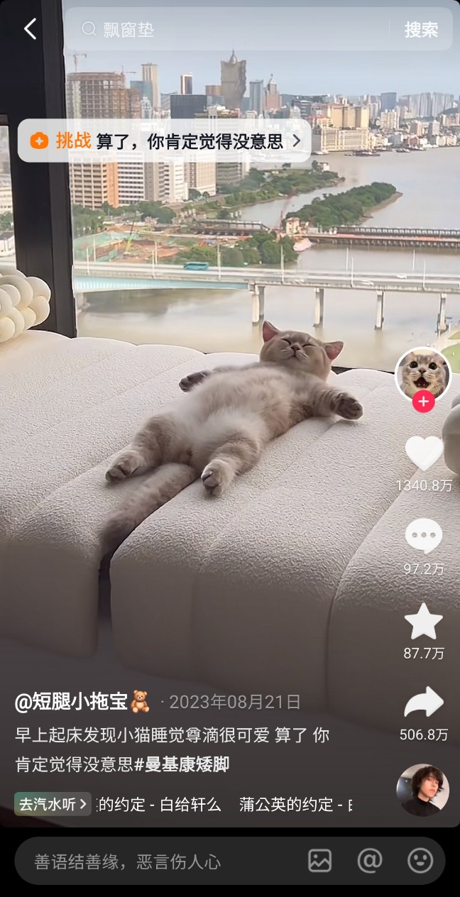 중국어로 고양이 猫