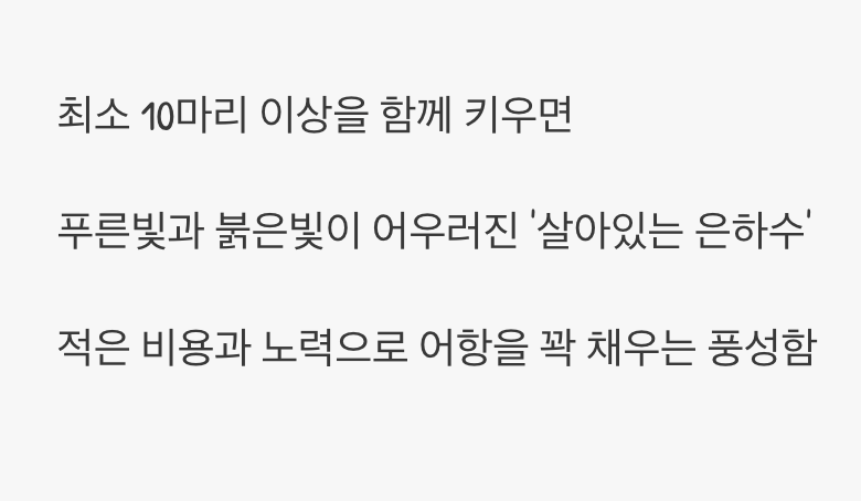 혼자가 아닌 '함께', 군영의 아름다움