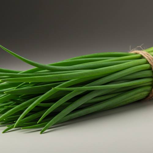 부추의 효능 사진