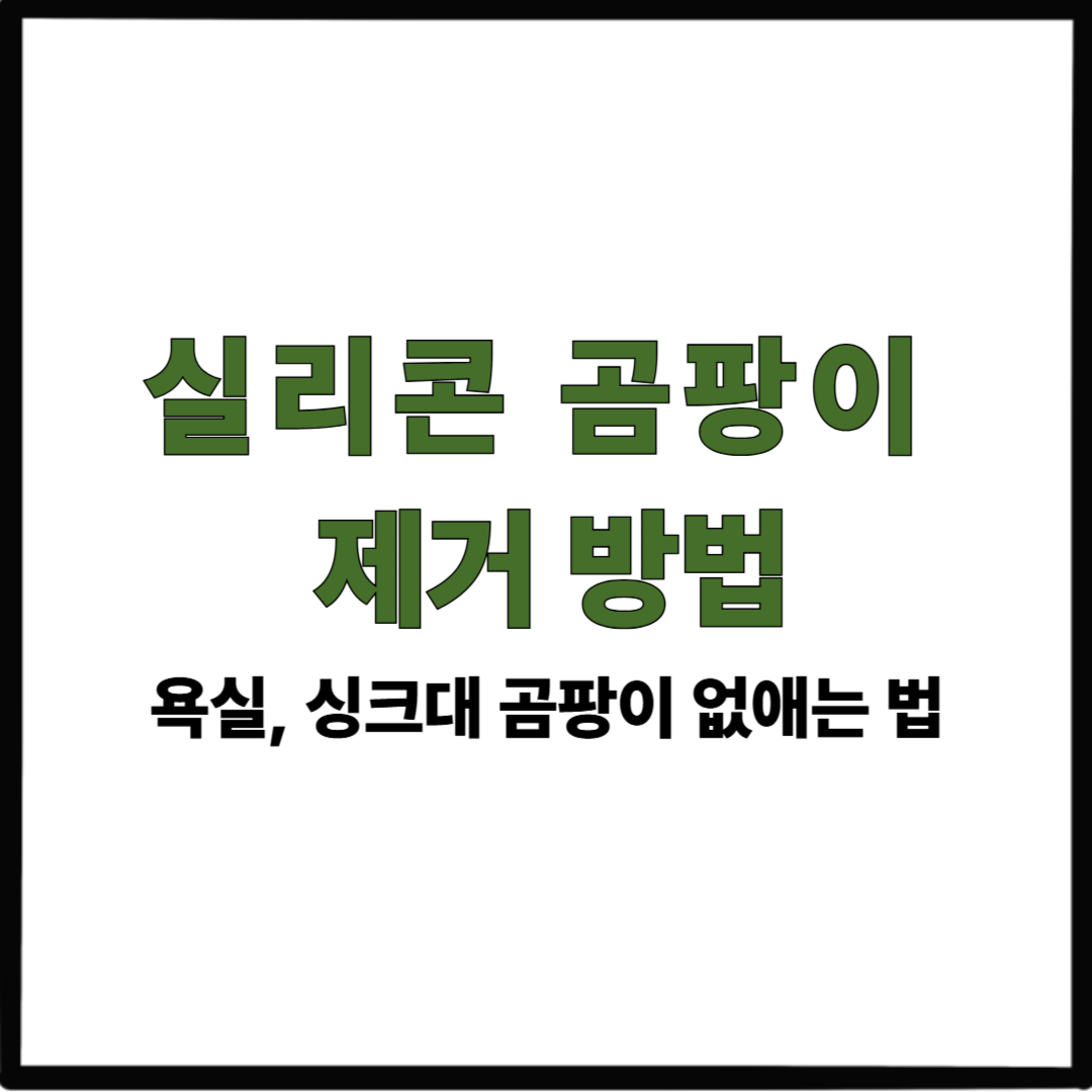 실리콘 곰팡이 제거 방법｜욕실, 싱크대 곰팡이 없애는 법