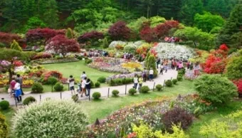 4월 넷째주 주말 봄꽃 축제 날씨_26