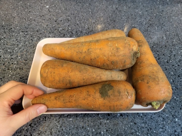 분홍-접시에-담겨있는-흙당근-5개