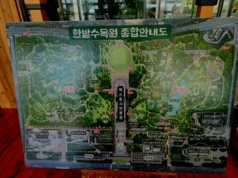 나는 빛나는 별처럼 느꼈습니다 한밭수목원 클레마티스 전시회 관람기_6