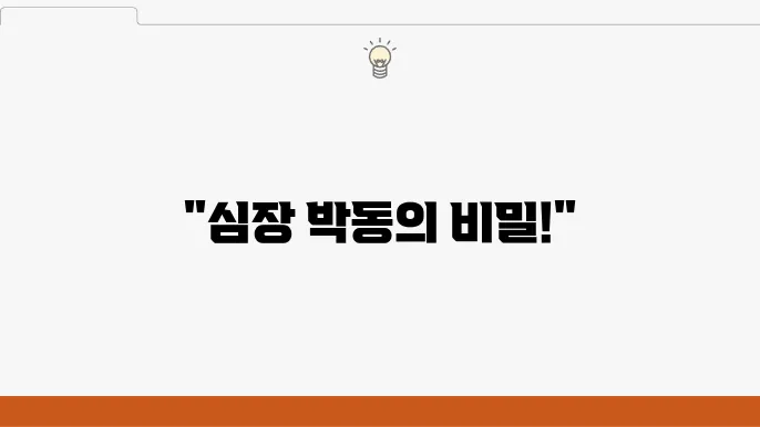 서맥증상 부정맥 빈맥 서맥 등의 증상