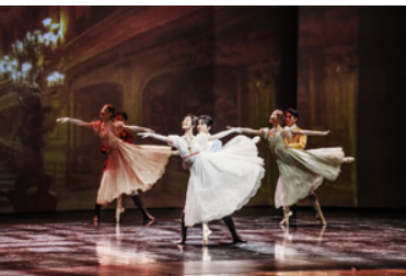 2025 제11회 수원발레축제 완벽 가이드 ❘ 9월 수원제1야외음악당 무료 공연