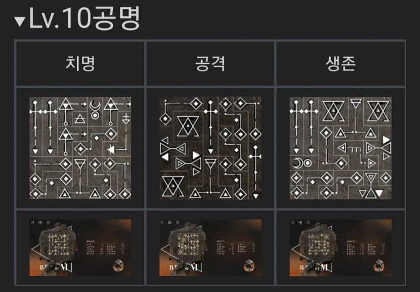 스파토데아 공명