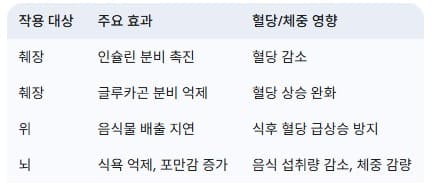 마운자로-작용-요약