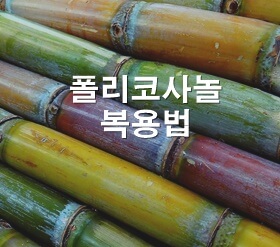 폴리코사놀 복용법