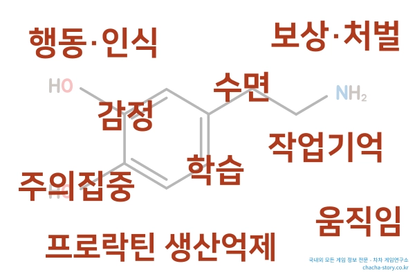 도파민이-관여하는-요소들-행동인식-감정-수면-보상처벌-학습-작업기억-주의집중-프로락틴생산억제-움직임이-있다
