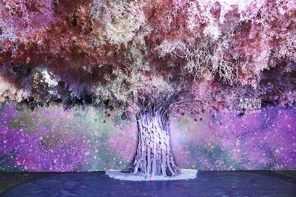 플라워바이네이키드 홍대 놀거리 입장료 23% 할인예매방법, 즐기는 꿀팁 네가지