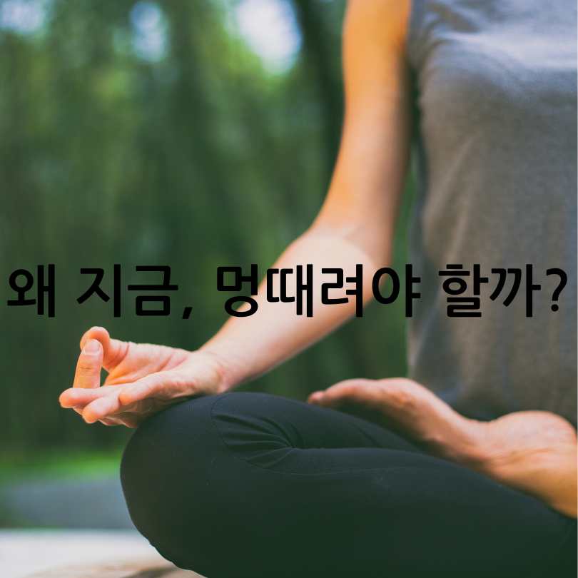 2025 한강 멍때리기 대회 신청 방법과 꿀팁
