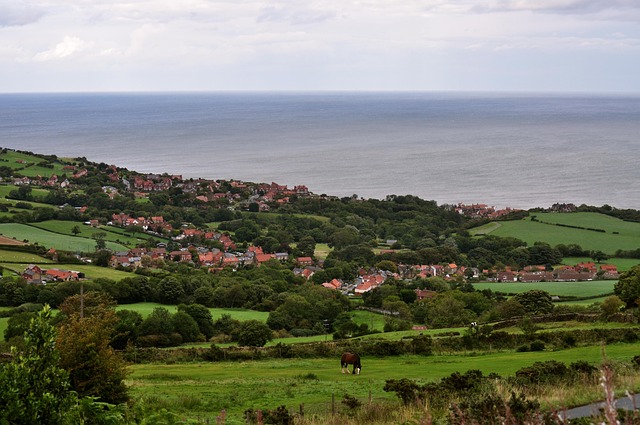 호주 와트슨스 베이 마을