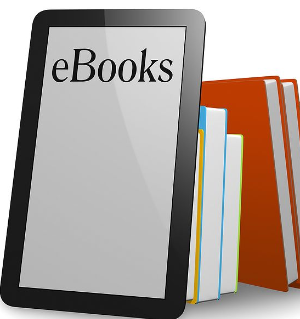 '플라이북'의 글로벌 성공 전략 : 아마존, 구글, MS와 함께한 스타트업의 도전