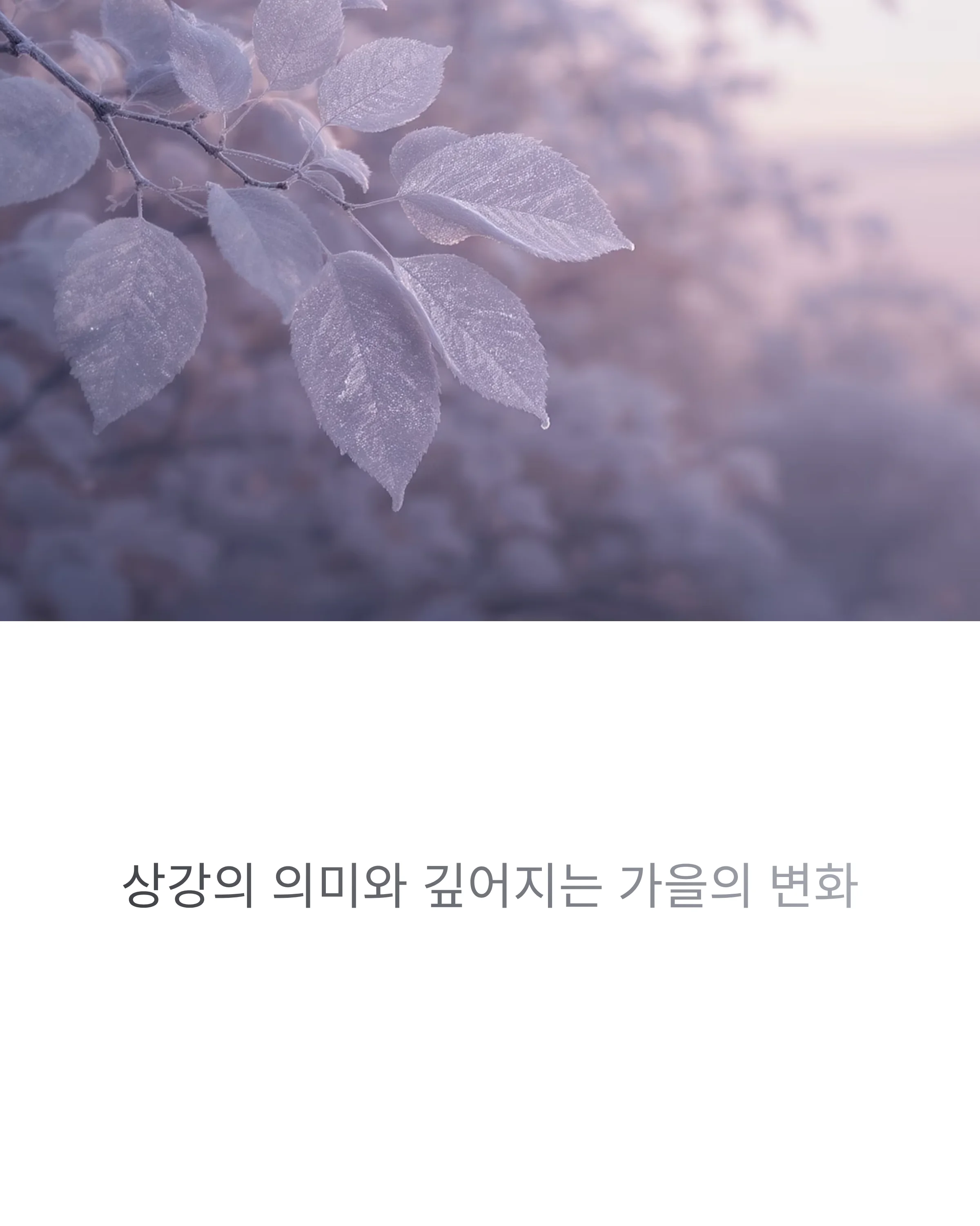 상강-뜻과-가을의-변화