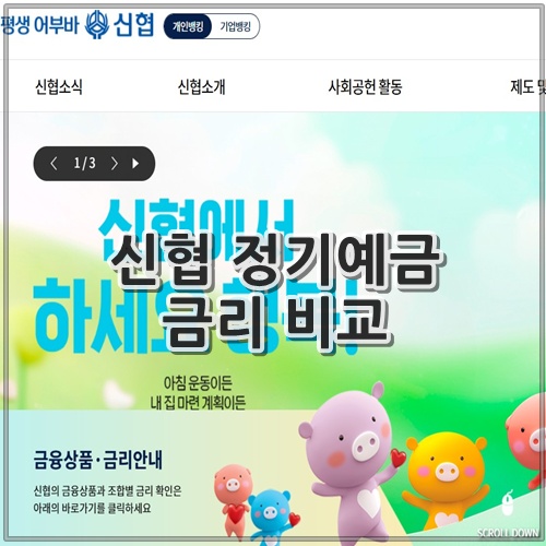 신협 정기예금 금리 비교