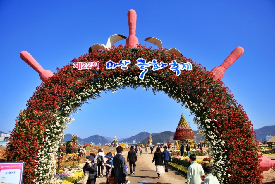 마산국화축제