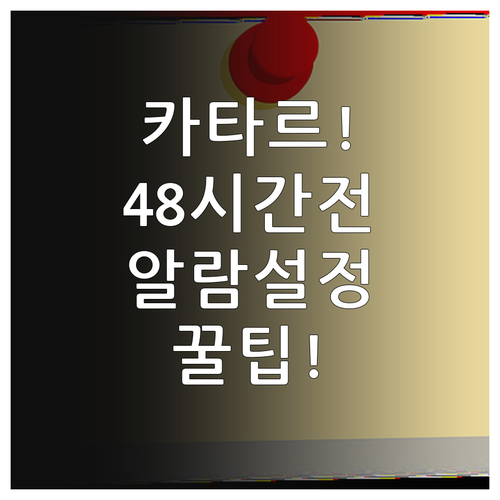 카타르항공 온라인 체크인 48시간 전..