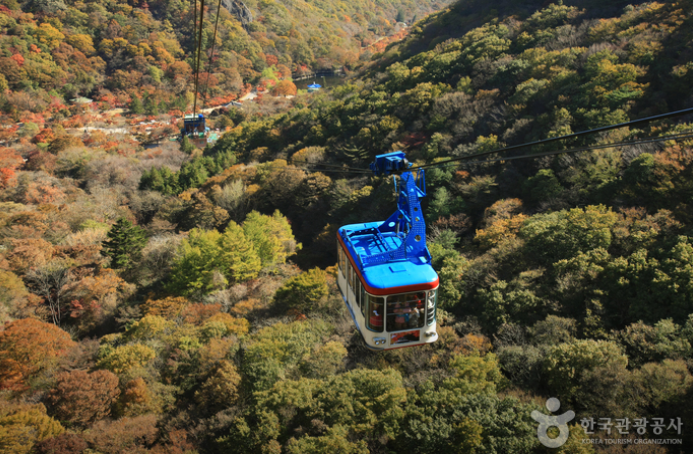 내장산 케이블카 예약방법, 요금, 운행시간, 주차장 총정리