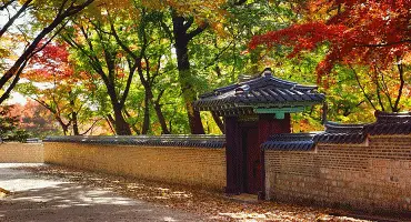 창덕궁 후원