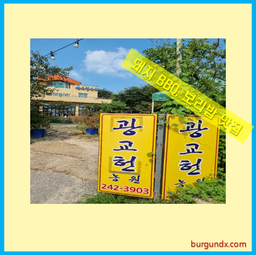 광교헌농원,BBQ,돼지고기숯불구이,바베큐,삼겹살바베큐