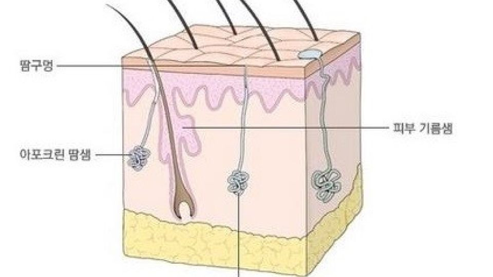 국민겅강지원센터