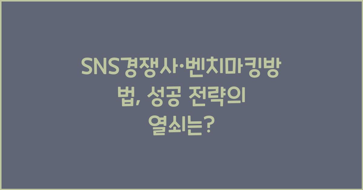 SNS경쟁사·벤치마킹방법