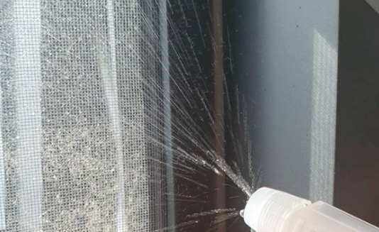 러그버그 퇴치법