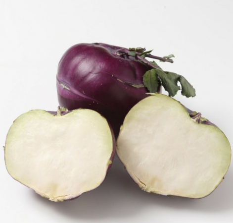 콜라비 세로 단면