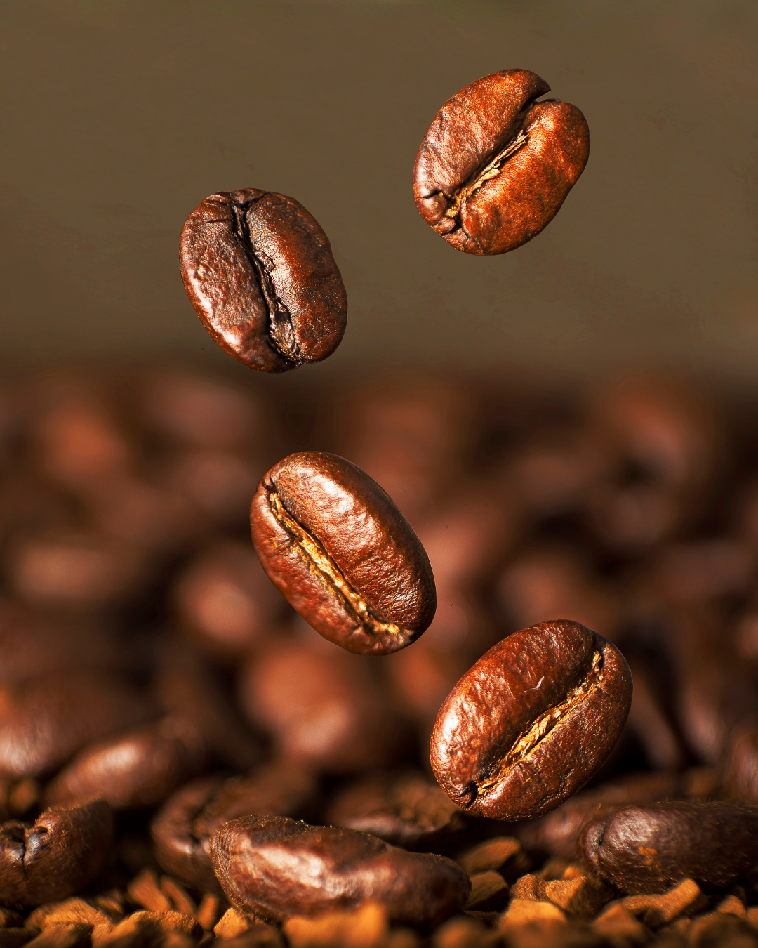  원두커피 기본 이해 (종류&amp;#44; 맛&amp;#44; 선택법)