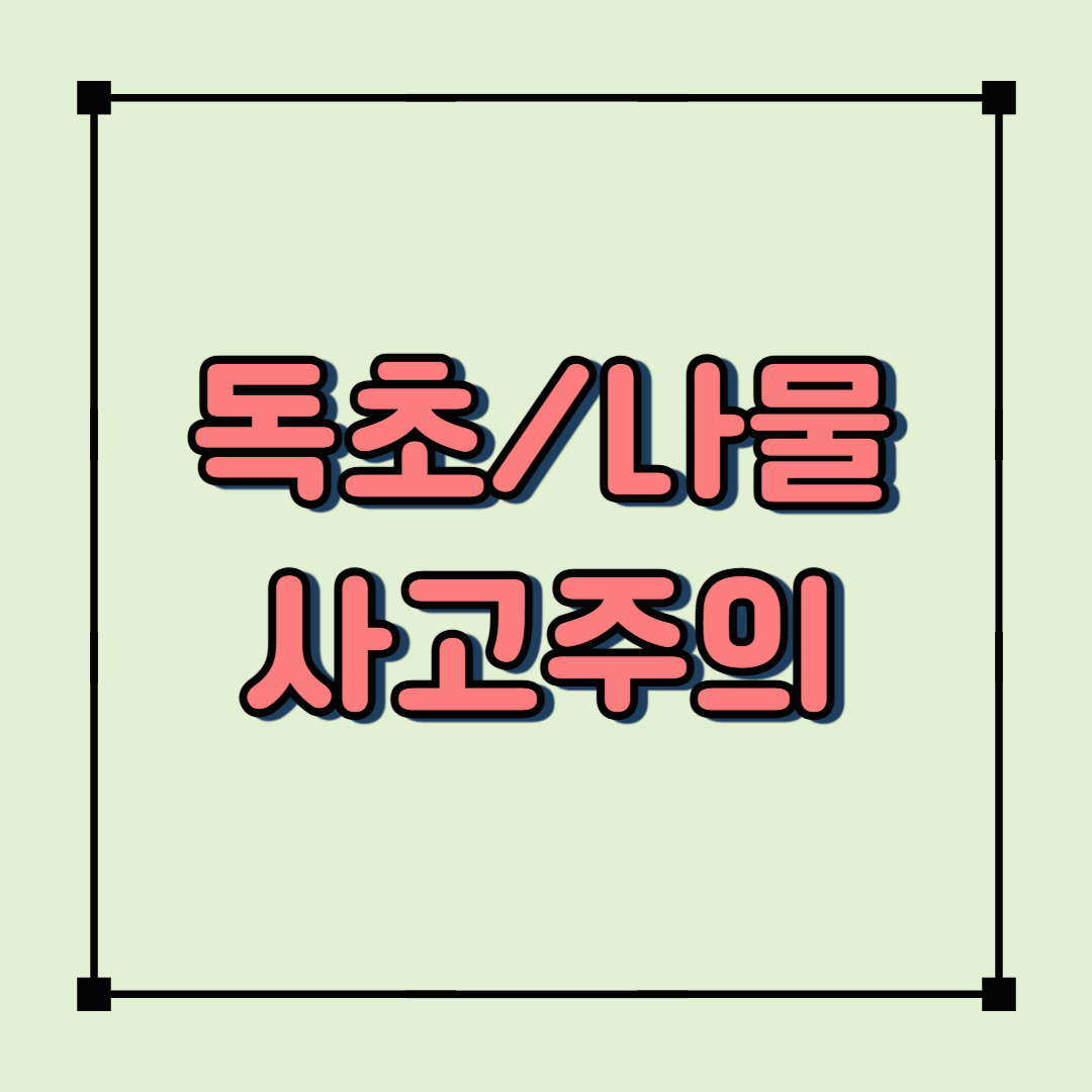 독초 사고 주의! 독초와 비슷한 나물 5가지 구별법