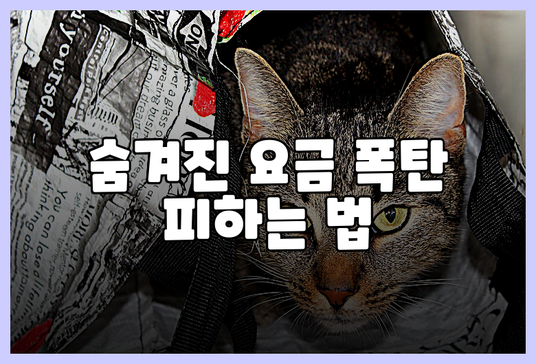 숨겨진 요금 폭탄 피하는 법