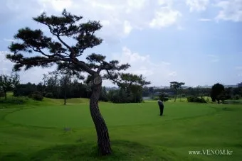 익산 퍼블릭 6홀 노캐디 골프장 익산컨트리클럽 상떼힐 이용 후기 및 예약_13