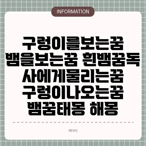 구렁이를보는꿈 뱀을보는꿈 흰뱀꿈독사에게물리는꿈 구렁이나오는꿈 뱀꿈태몽 해몽