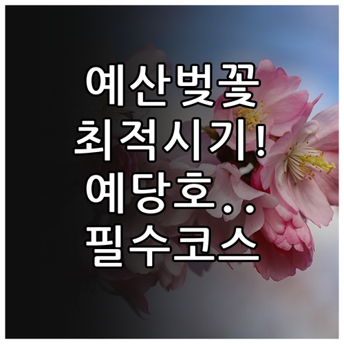 예산 벚꽃 개화 예상 시기 및 예당호..