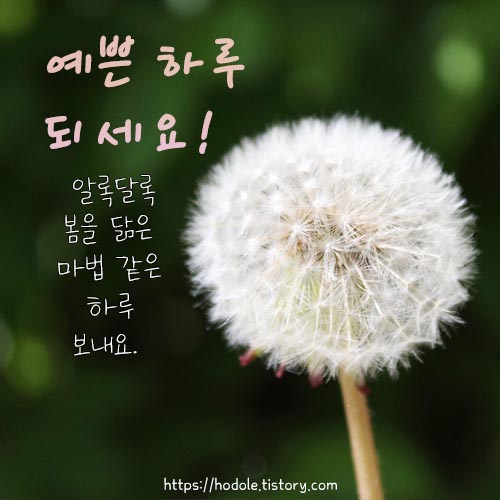 예쁜-하루