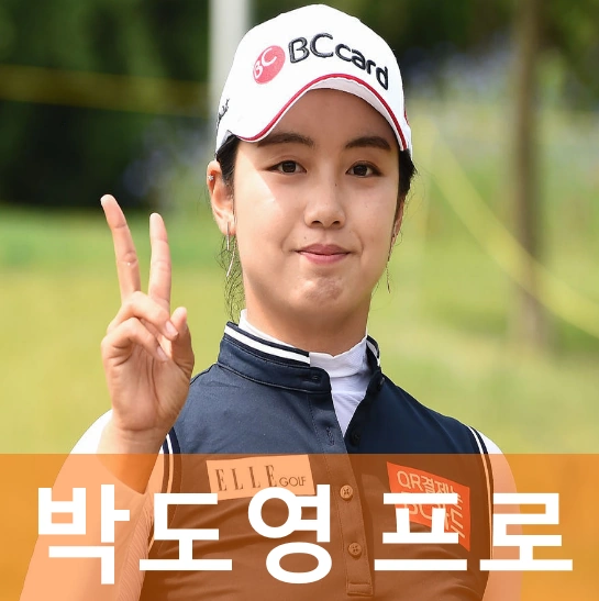 박도영 프로