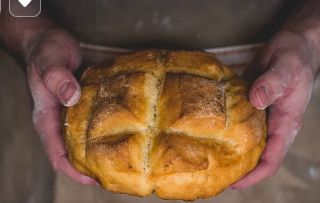 카뮤트 효소 효능