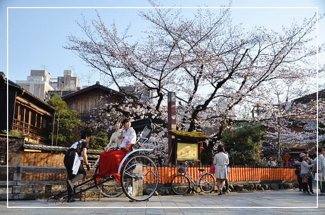 가족과 함께하는 교토 벚꽃 여행(체험, 온천, 맛집)에 대한 사진