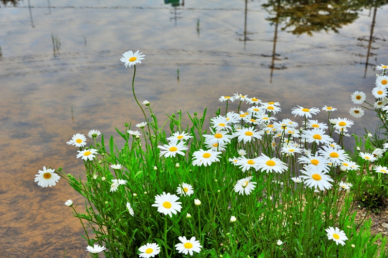 주일 대표 기도문 5월 넷째 주